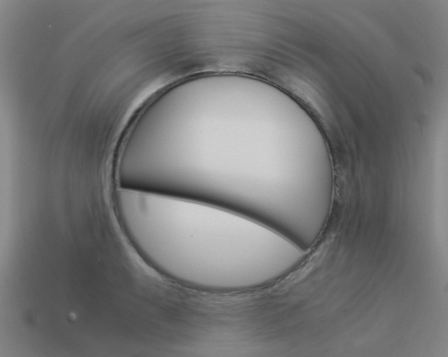 X0000113991087200910021005