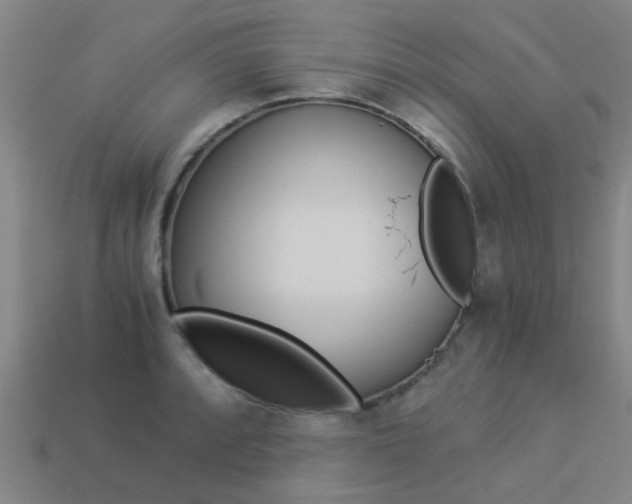 X0000113991088200910021005