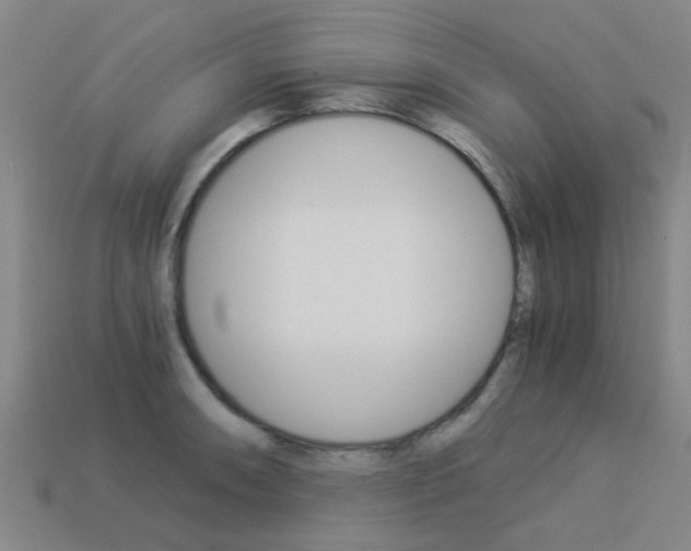 X0000113991090200910021005