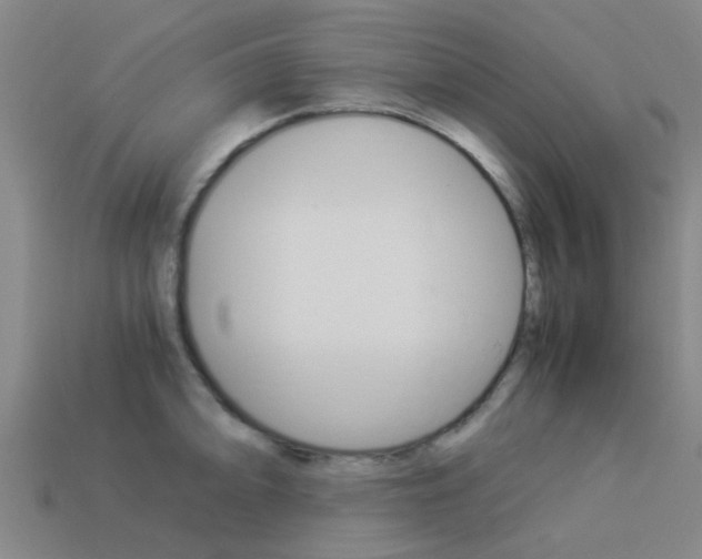 X0000113991094200910021005