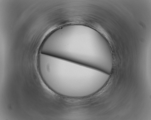 X0000113991095200910021005