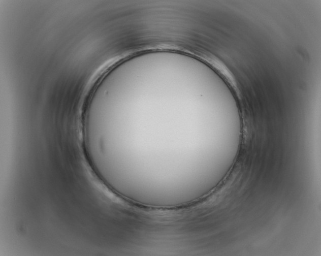 X0000113991096200910021005