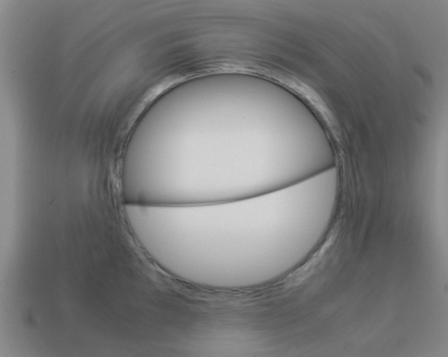 X0000113991097200910021005