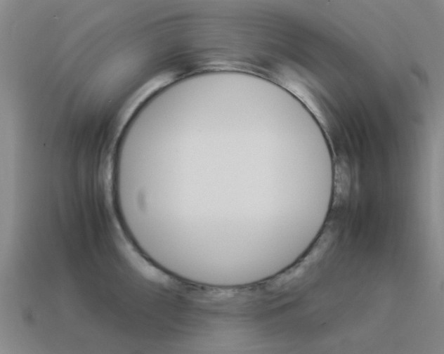 X0000113991098200910021005