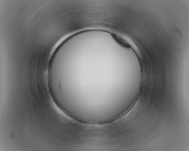 X0000113991100200910021005
