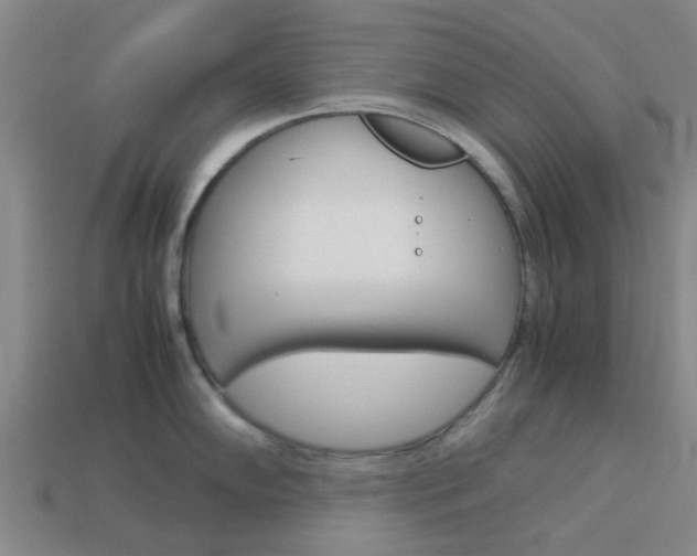 X0000113991102200910021005