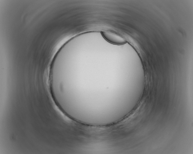 X0000113991103200910021005