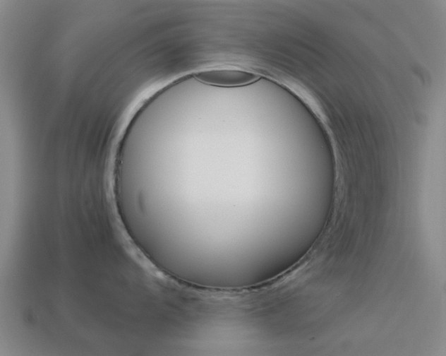 X0000113991104200910021005