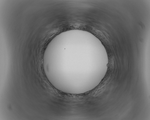 X0000113991105200910021004