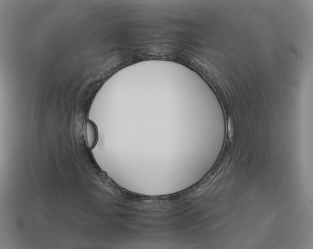 X0000113991107200910021004