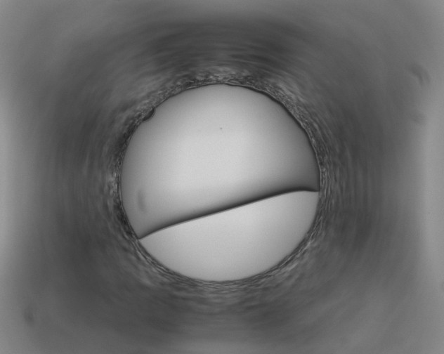X0000113991109200910021004