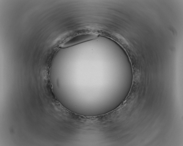 X0000113991110200910021004