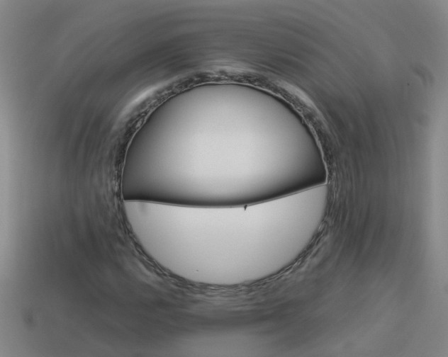 X0000113991112200910021004