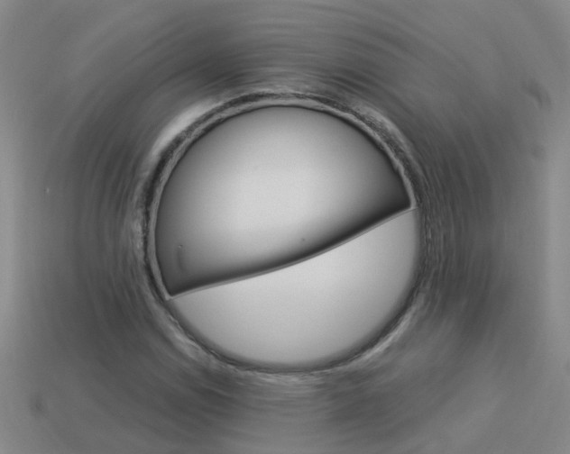 X0000113991114200910021004