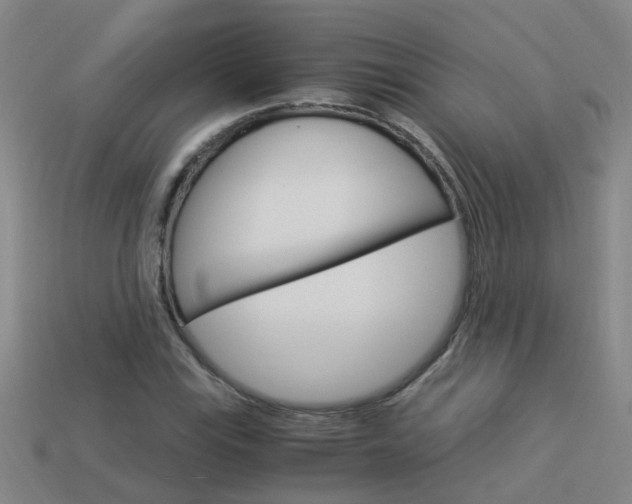X0000113991115200910021004