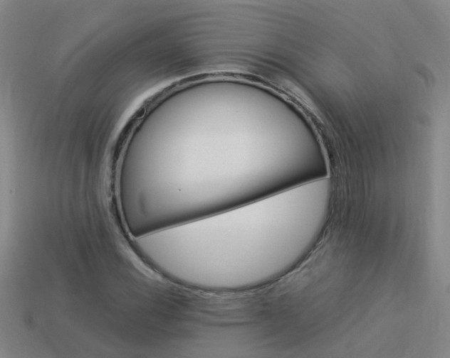 X0000113991116200910021004
