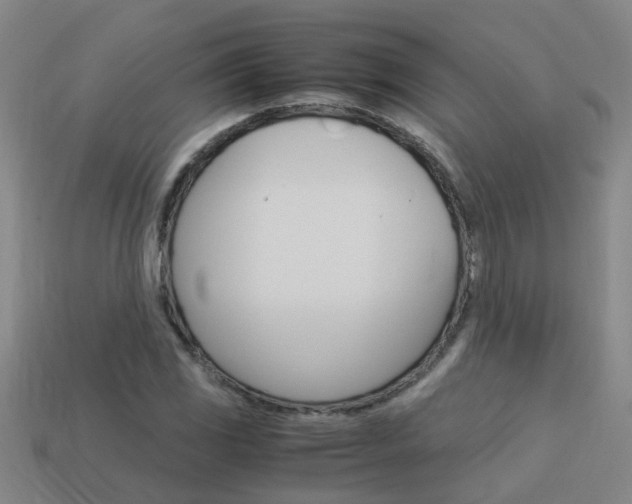 X0000113991117200910021004