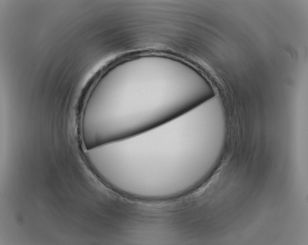 X0000113991118200910021004