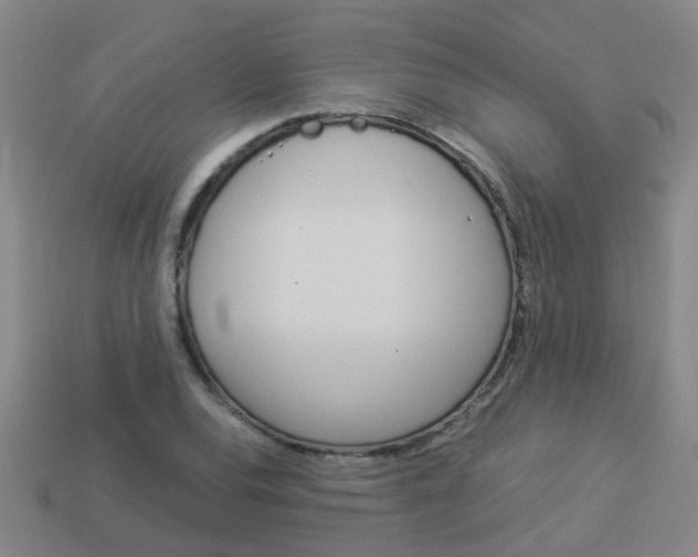 X0000113991120200910021004
