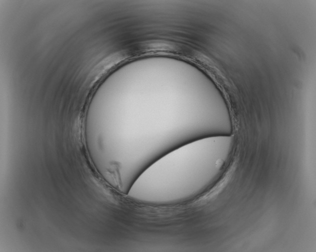 X0000113991121200910021004