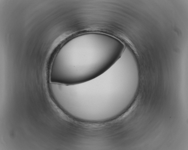 X0000113991122200910021004