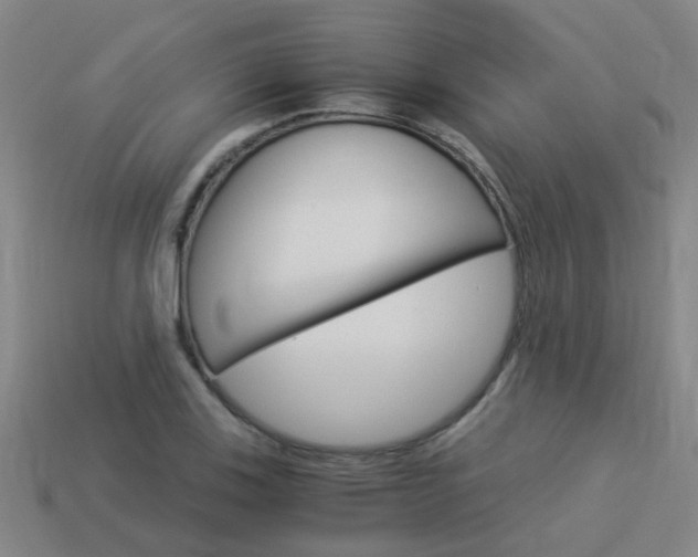 X0000113991123200910021004
