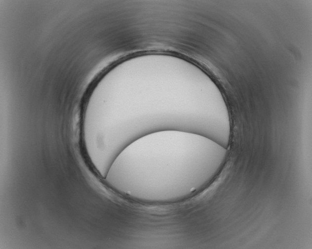 X0000113991126200910021004
