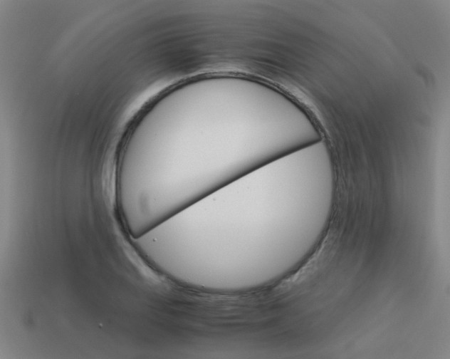 X0000113991127200910021004