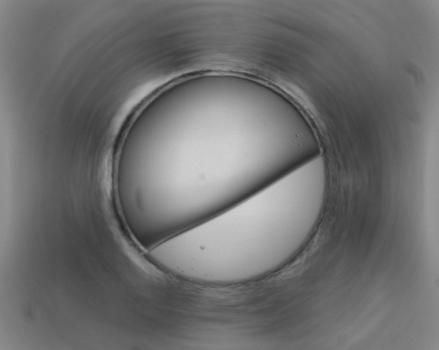 X0000113991128200910021004