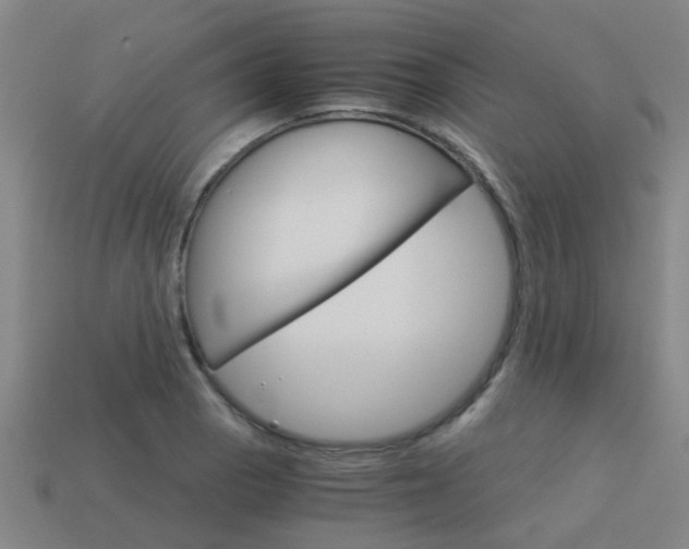 X0000113991129200910021004