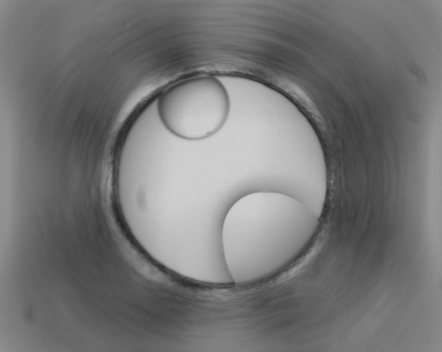 X0000113991130200910021004