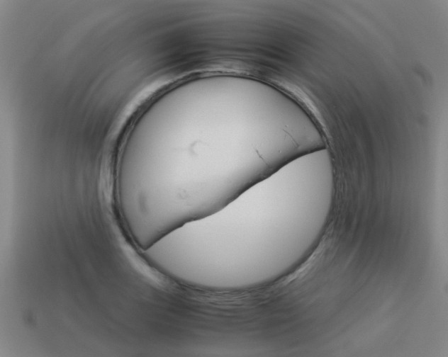 X0000113991131200910021004