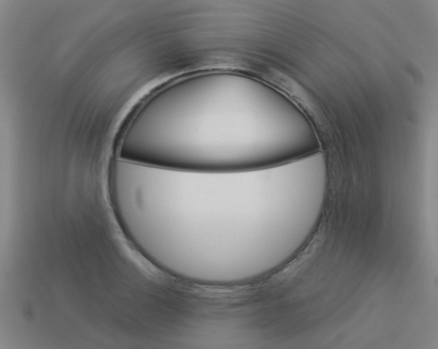 X0000113991132200910021004