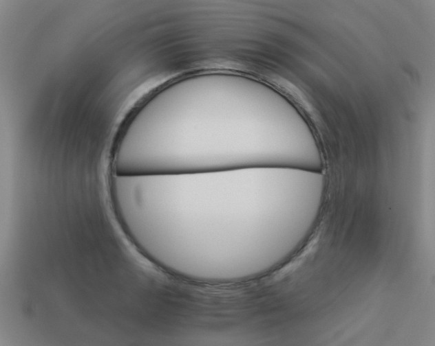 X0000113991133200910021004