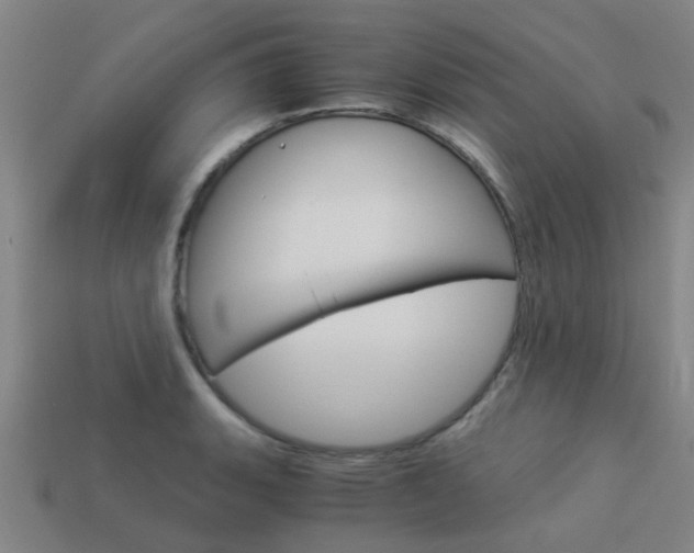 X0000113991135200910021004