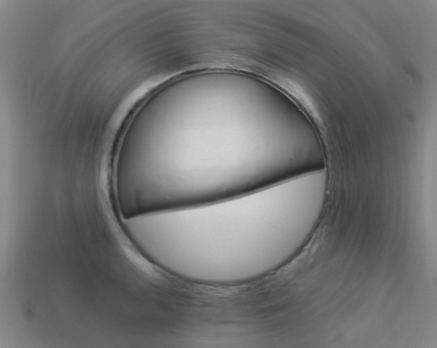 X0000113991136200910021004