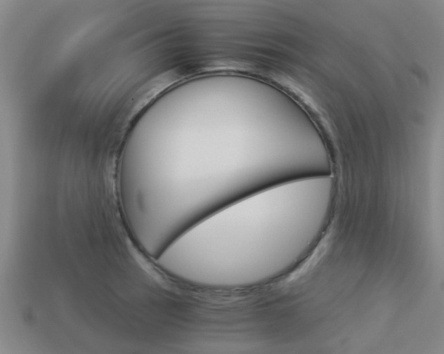 X0000113991137200910021004