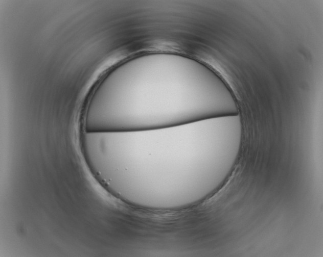 X0000113991139200910021004