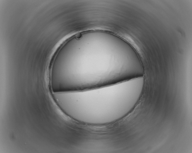 X0000113991140200910021004