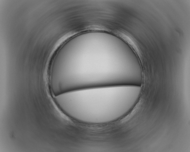 X0000113991141200910021004