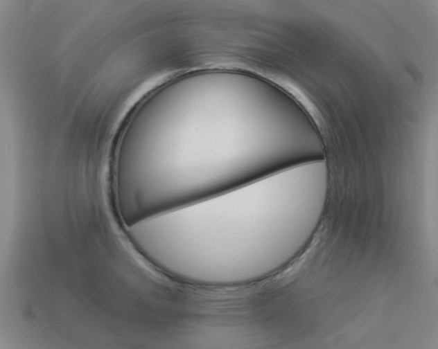 X0000113991142200910021005