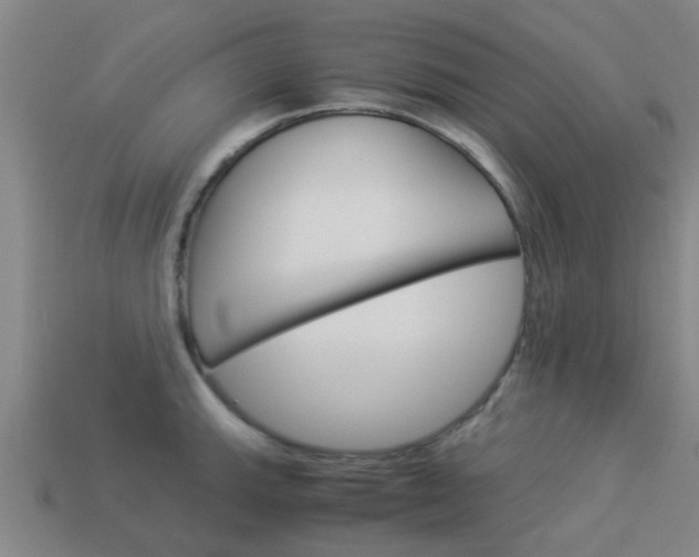 X0000113991143200910021005