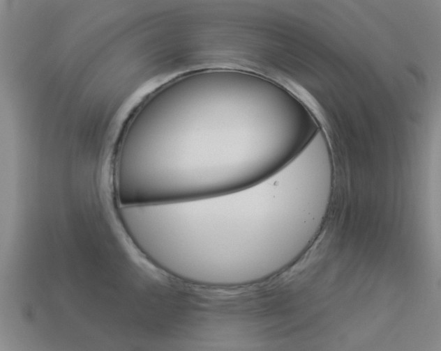 X0000113991144200910021005