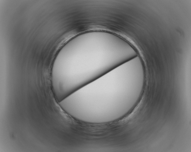 X0000113991145200910021005