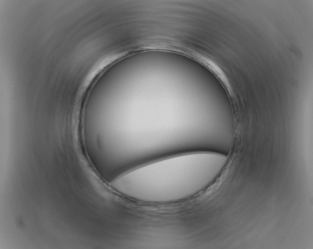 X0000113991146200910021005