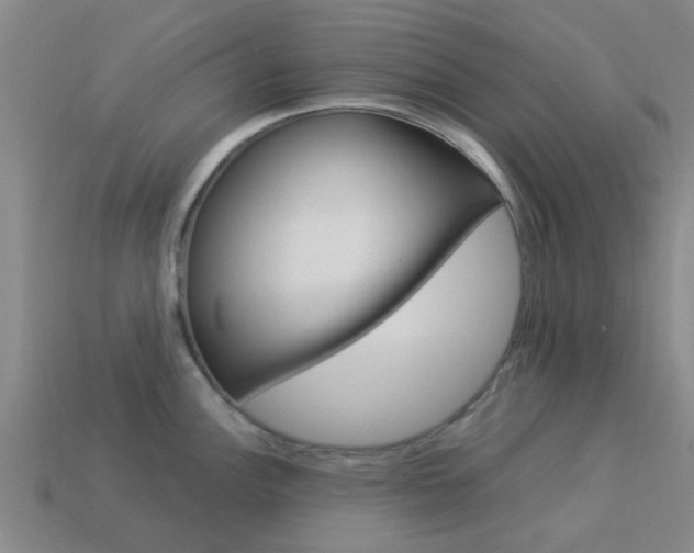 X0000113991148200910021005