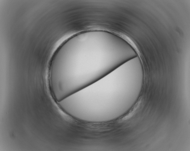 X0000113991149200910021005