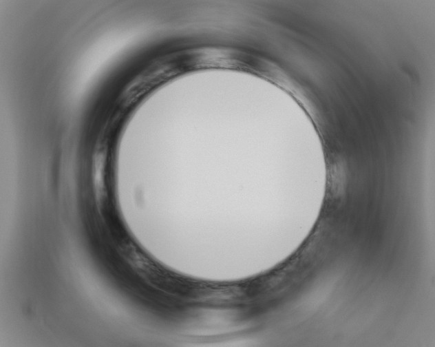 X0000113991150200910021005