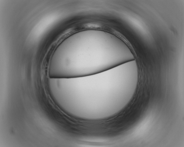 X0000113991151200910021005