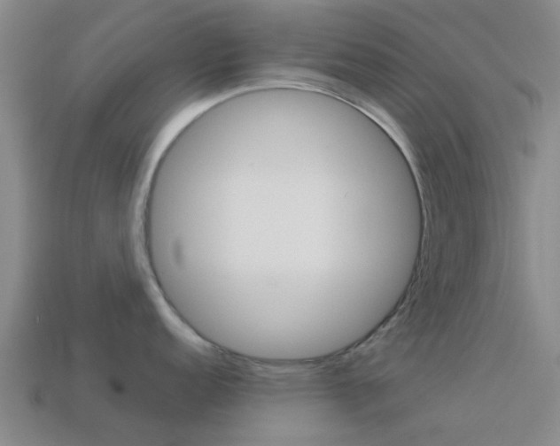 X0000113991152200910021005